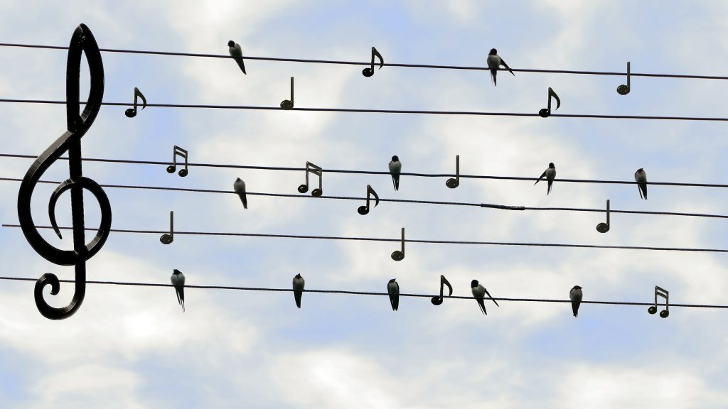 Afbeelding van muzieknoten en vogeltjes op hoogspanningsdraden met een grote G Sleutel.