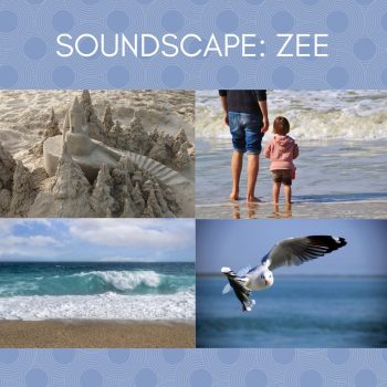Vier foto's over de zee en strand: zandkasteel, meeuw, golven, en vader en kind in het water. Met link naar YouTube.